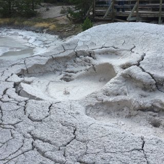 Mud Pots, Yellowstone, West Yellowstone