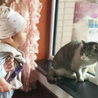 萌宠-3 猫猫和宝宝的见面...