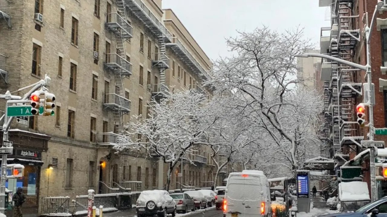 晒一波纽约的雪和披萨🍕