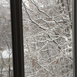 今年的第一场雪，瑞雪兆丰年...