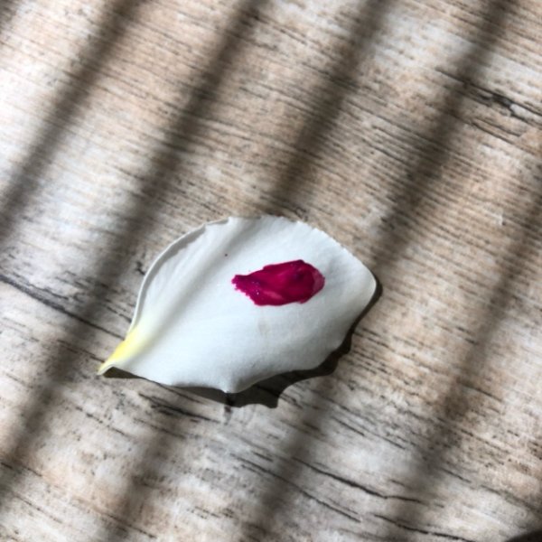 晒货图片