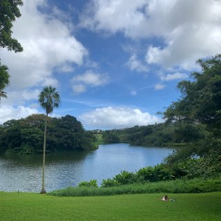 夏威夷Ho’omaluhia植物园...