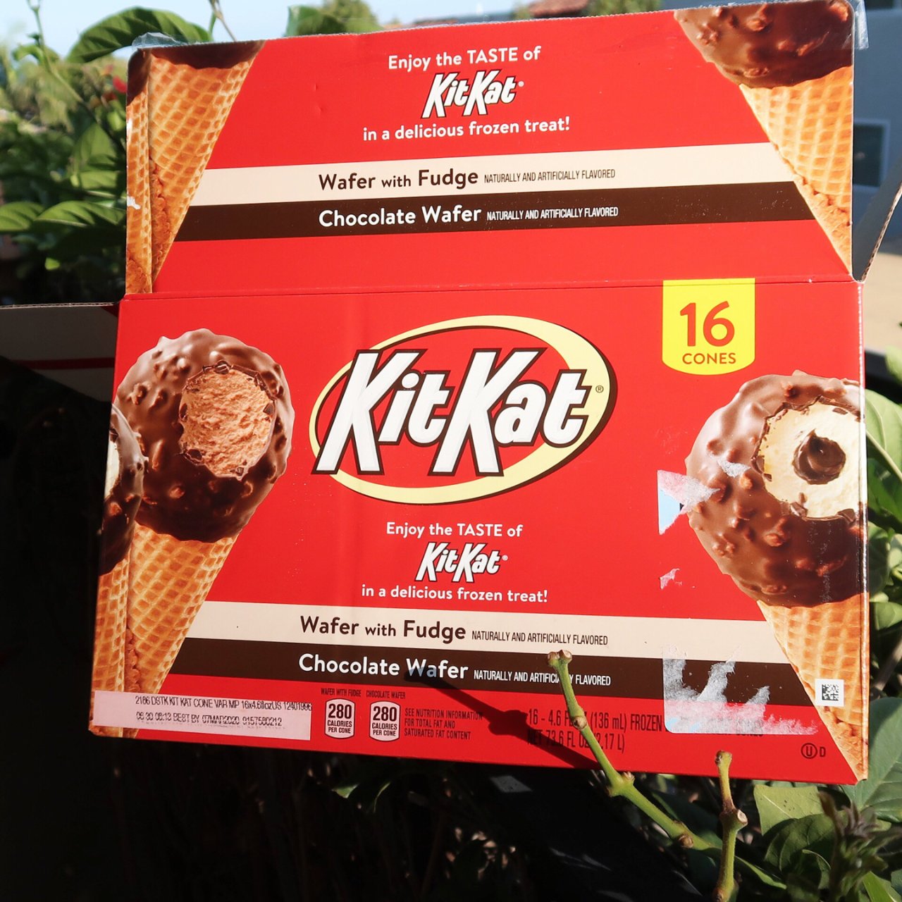 晒晒圈美食精选| 吃吃喝喝| ????Costco推荐-KitKat冰淇淋❤️