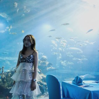 海底餐厅🍴仙女刺绣吊带裙...