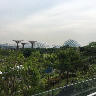 第四天：新加坡最喜爱的景点 -滨海湾公园...