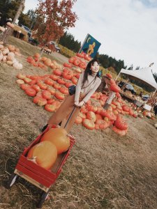 Pumpkin Patch▪️南瓜农场攻略🎃南瓜滤镜🎃