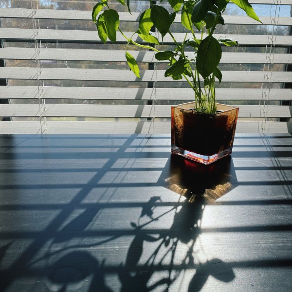晒货图片