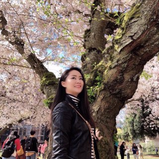 Madewell 美德威尔