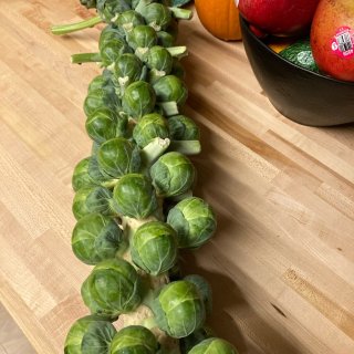 超美 Brussels Sprouts ...