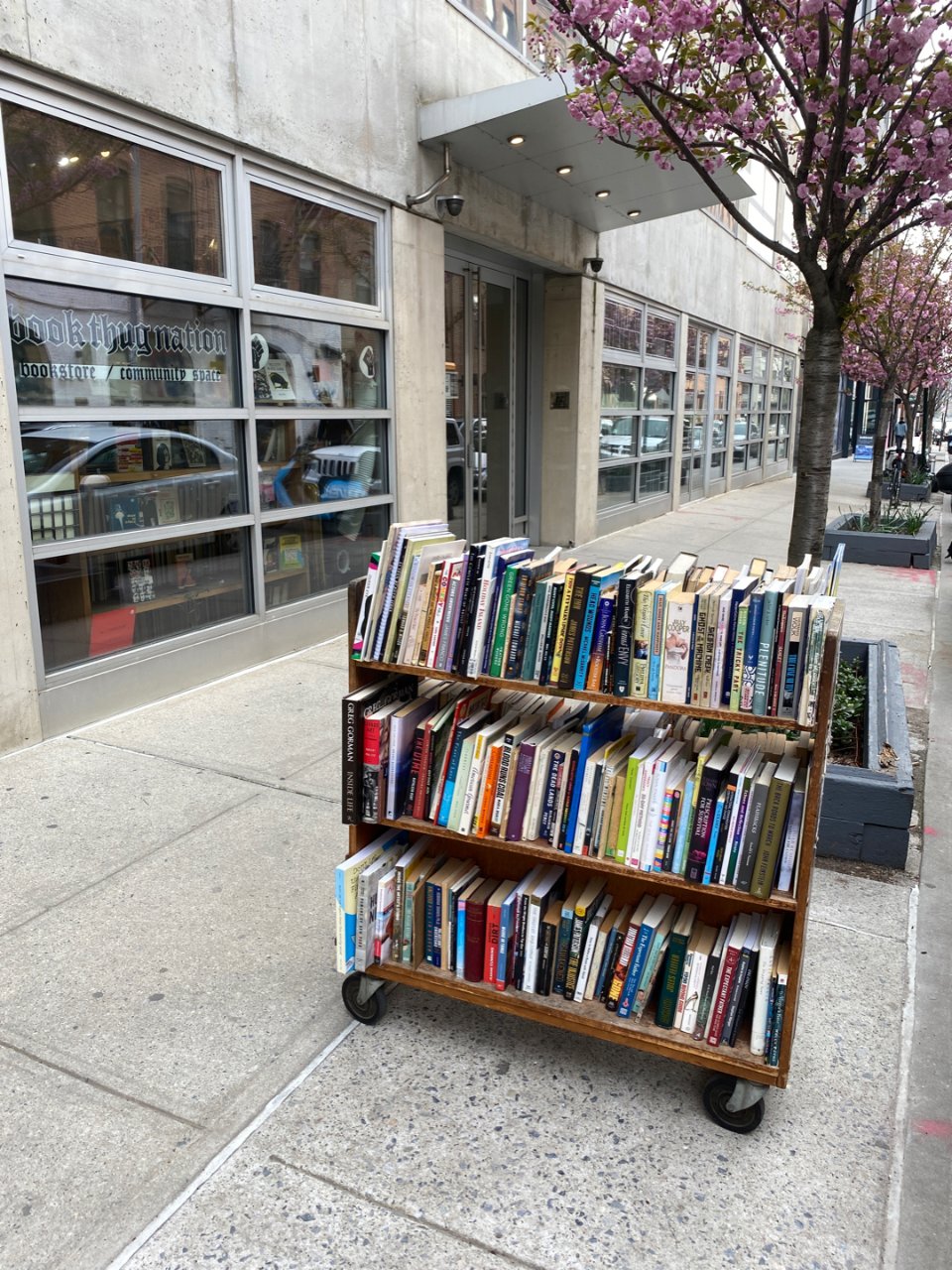 纽约一家奇特的小众二手书店...