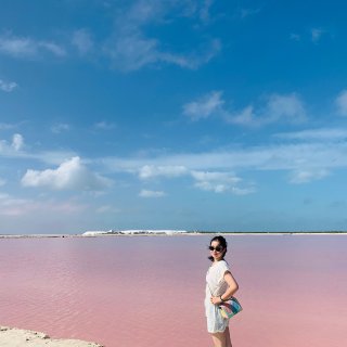 墨西哥粉红湖一日游...
