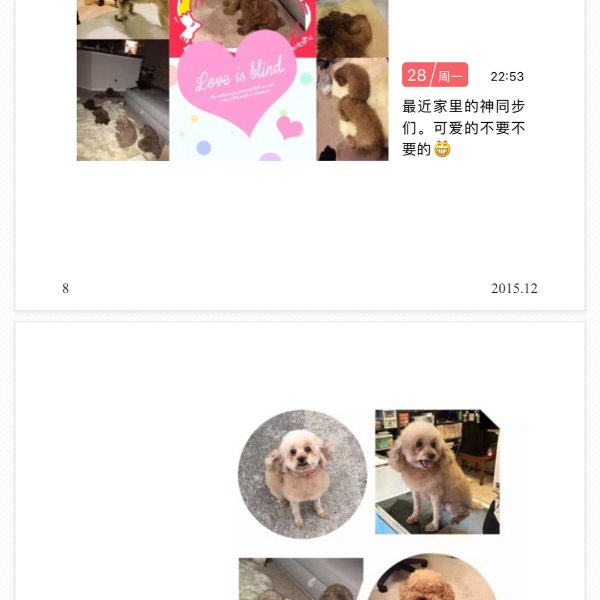 晒货图片