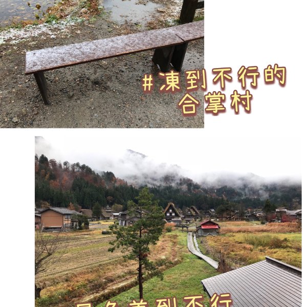晒货图片