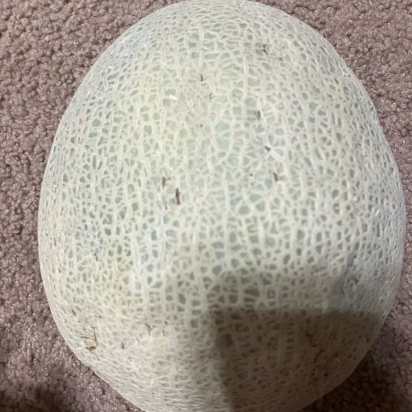 笔记图片