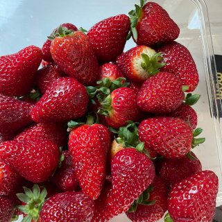 Costco的网红草莓...