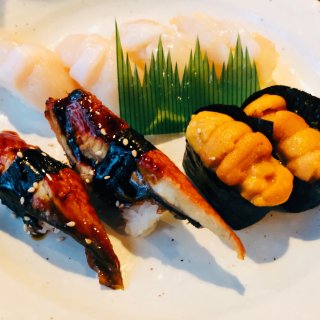 海胆,鳗鱼,Sea snail,Scollap