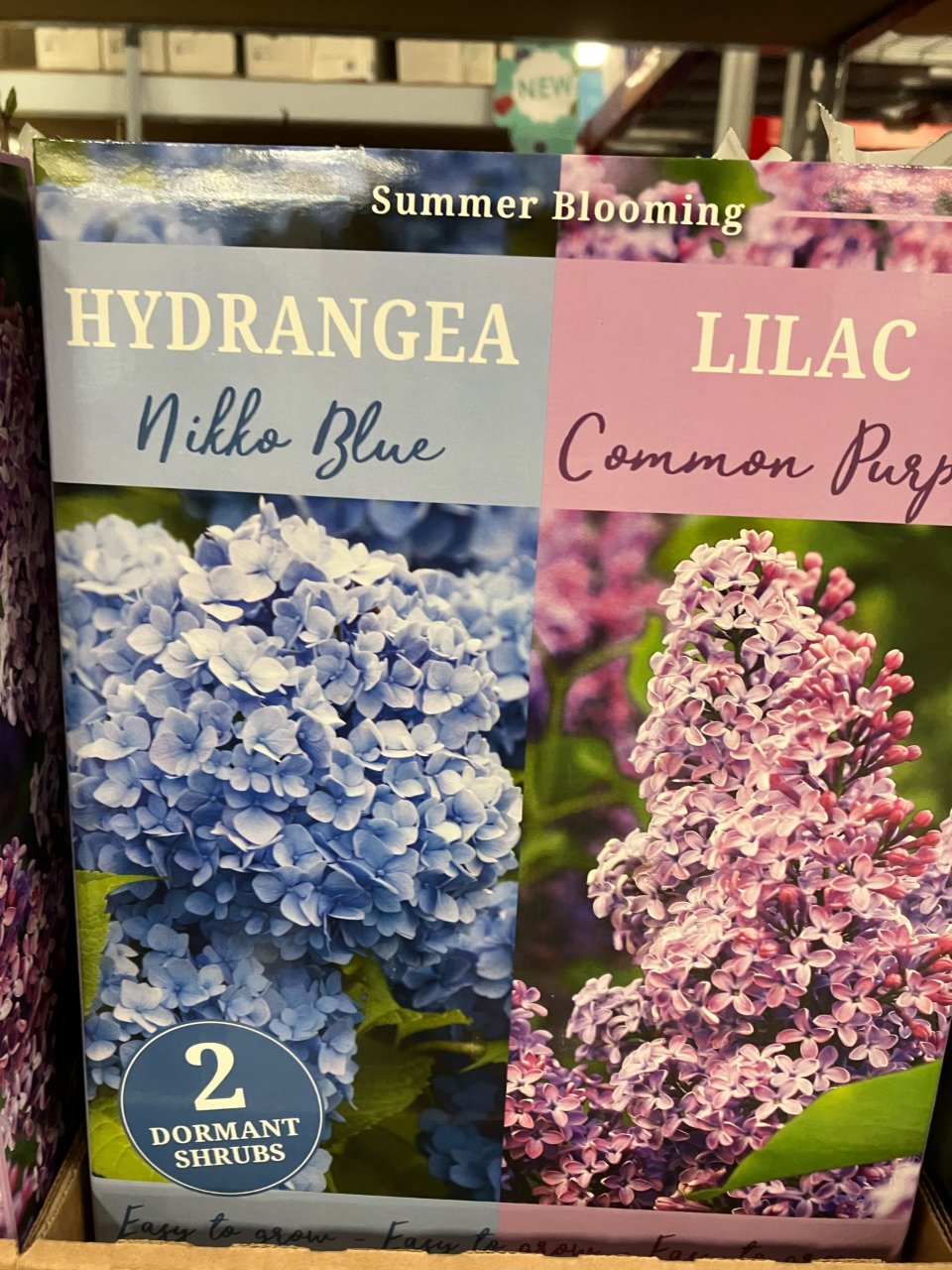 Hydrangea & Lilac