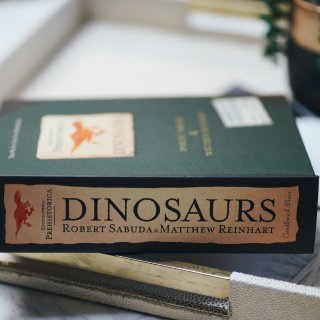 【儿童书推荐】恐龙立体书...