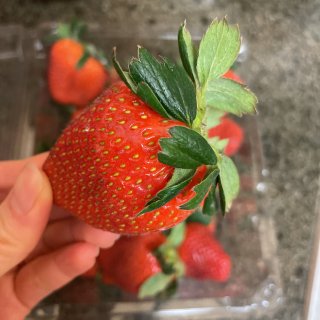Costco这个牌子的草莓真的好吃😋...