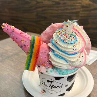 Atlanta 水族馆边网红冰淇淋奶昔店...