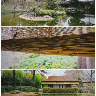 年末冬日雨后的日本花园🎄比夏天多几分宁静...