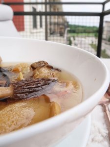 广东人连叫三声好的好汤！GMP Vitas野菌菇汤