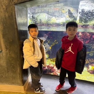 LAX aquarium 