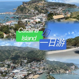 Catalina Island 一日游🚗...