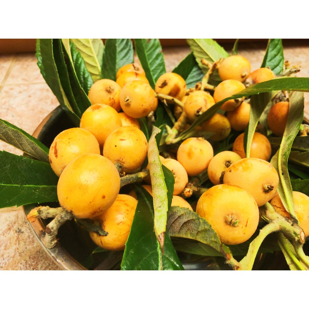 初夏的枇杷果 今年的第一波好收成 北美省钱快报dealmoon Com 晒货