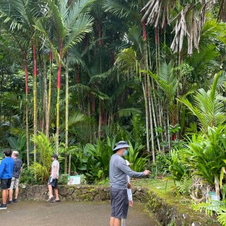 夏威夷景点打卡～瓦希阿瓦植物园...