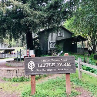 Tilden Little Farm农场...