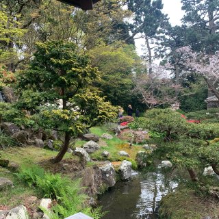 三番Japanese garden日式公...