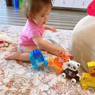 Lego小龄宝宝的动物小火车...