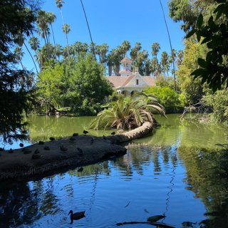 🔆南加州小众景點／洛杉磯植物園🌴...