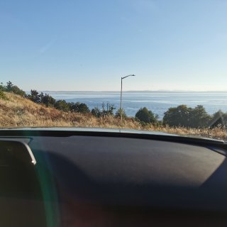 西雅图小公园看海🌊...