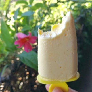 夏季怎么可以没有冻品----酸奶芒果雪糕...