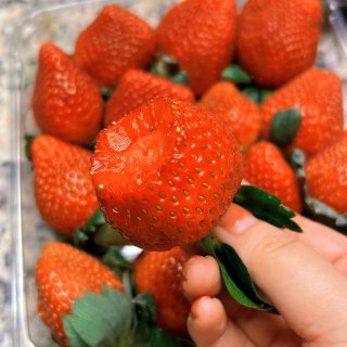 Walmart出息了🤩｜甜甜的草莓🍓🍓...