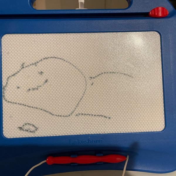 晒货图片