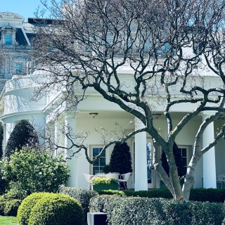 DMV｜DC的四月是白宫的花园...