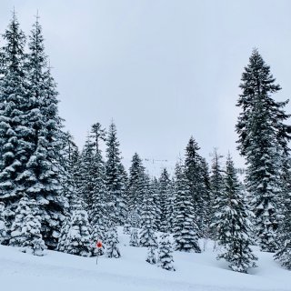 Day8 滑雪穿搭 昨天下了一整天的雪...