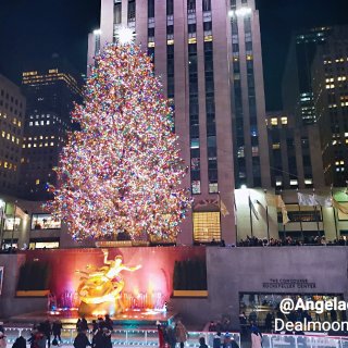 最华丽的圣诞树🎄与最璀璨的星🌟...