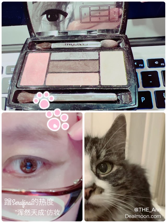 蹭美猫热度🔥 兰蔻眼影盘仿Sera...