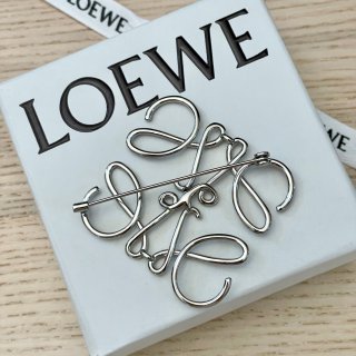 🌙衣橱 | Loewe胸针💫 新配饰入库...