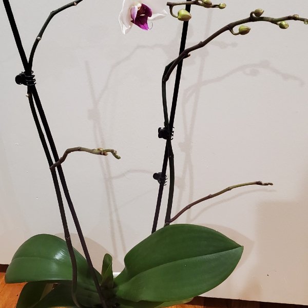 晒货图片
