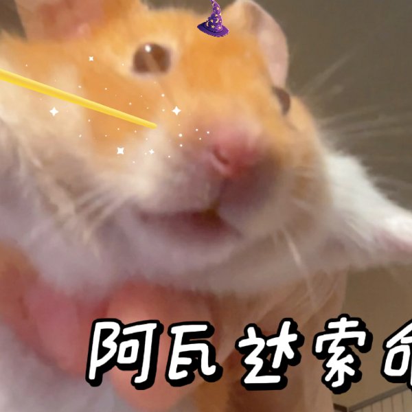 晒货图片