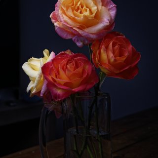 玫瑰陆续盛放的四月，真的太美了...