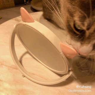 貓頭造型壁掛化妝鏡🐱照鏡子就有好心情...