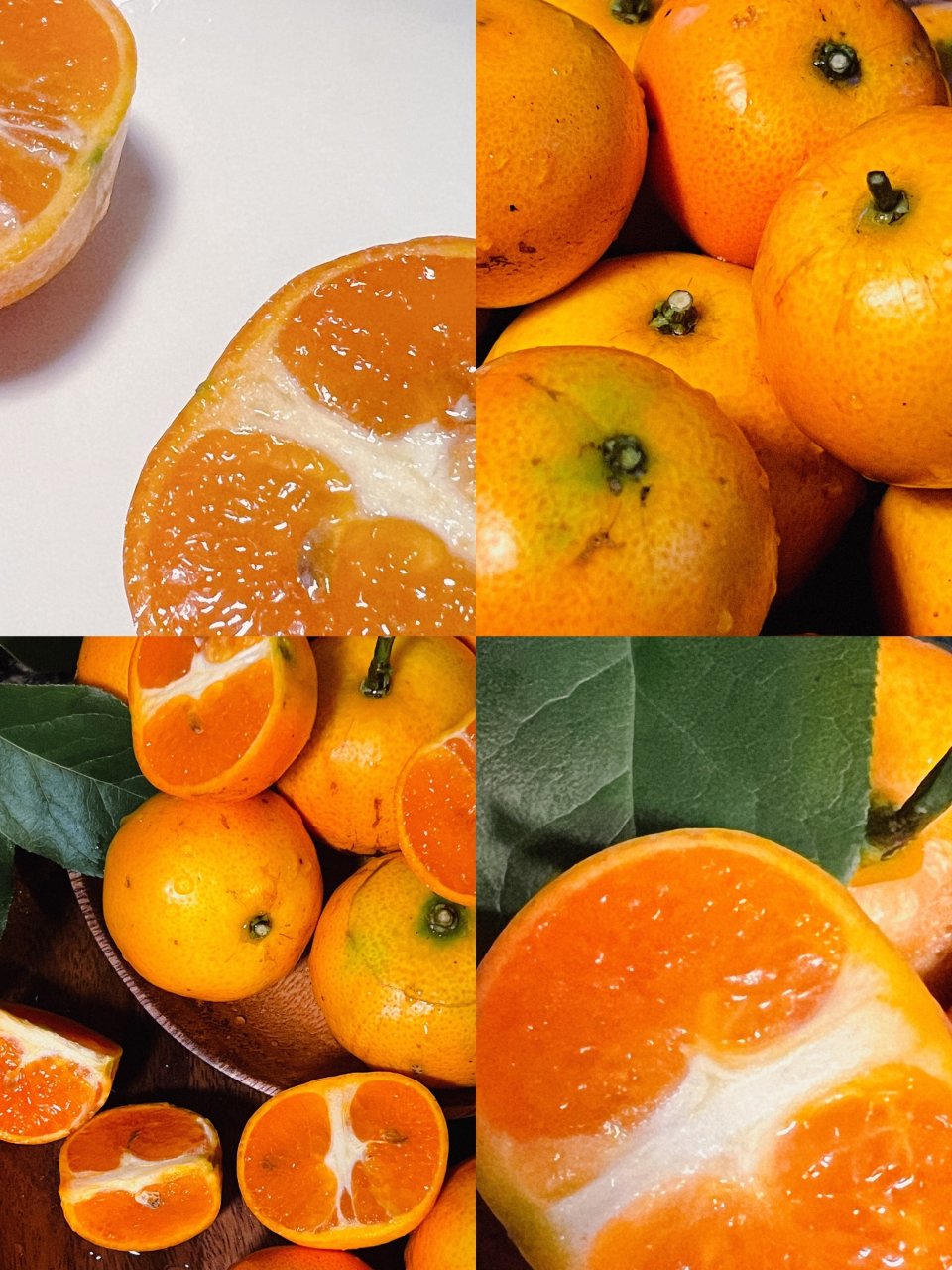 堅持每天靜物拍攝：酸酸甜甜樹上熟的小橘子...