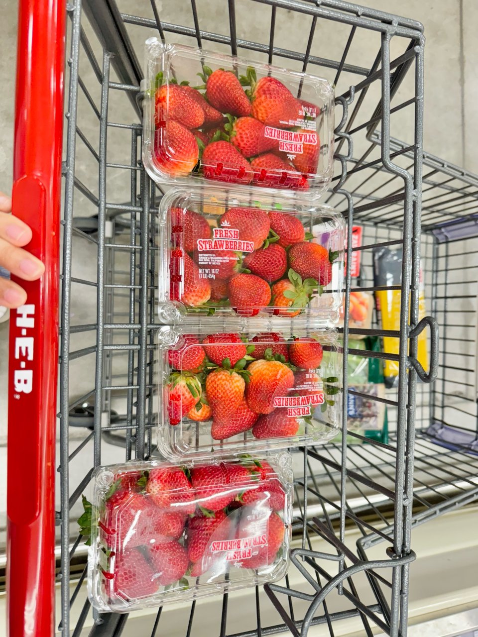 休斯顿地区HEB草莓$0.97/盒，又大...