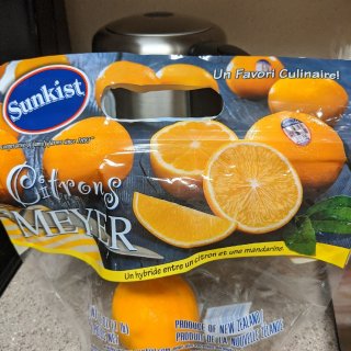 橙子柠檬杂交